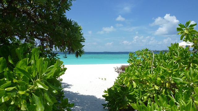 Romantici atolli, natura incontaminata: alla scoperta dell’Oceano Indiano