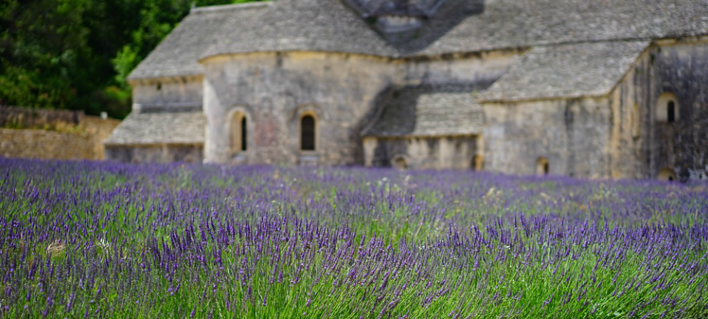 Paesaggi incantevoli, fioriture sconfinate: a giugno, in Provenza