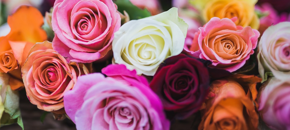 A romantic journey, la vie en rose – part II