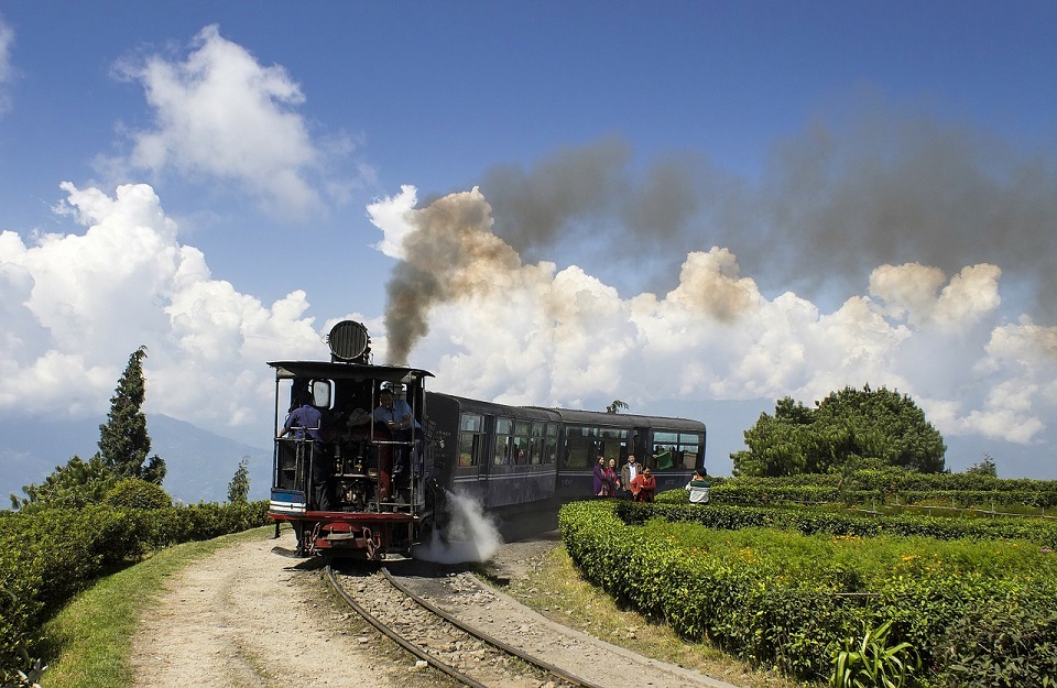 Honeymoon on a train